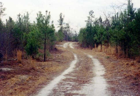 Hunting Club Land