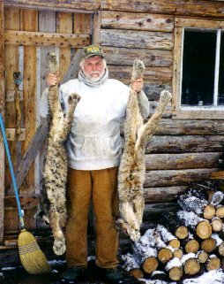 Two Canadian Lynx